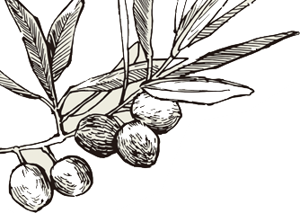 Style Gallery Style Gallery